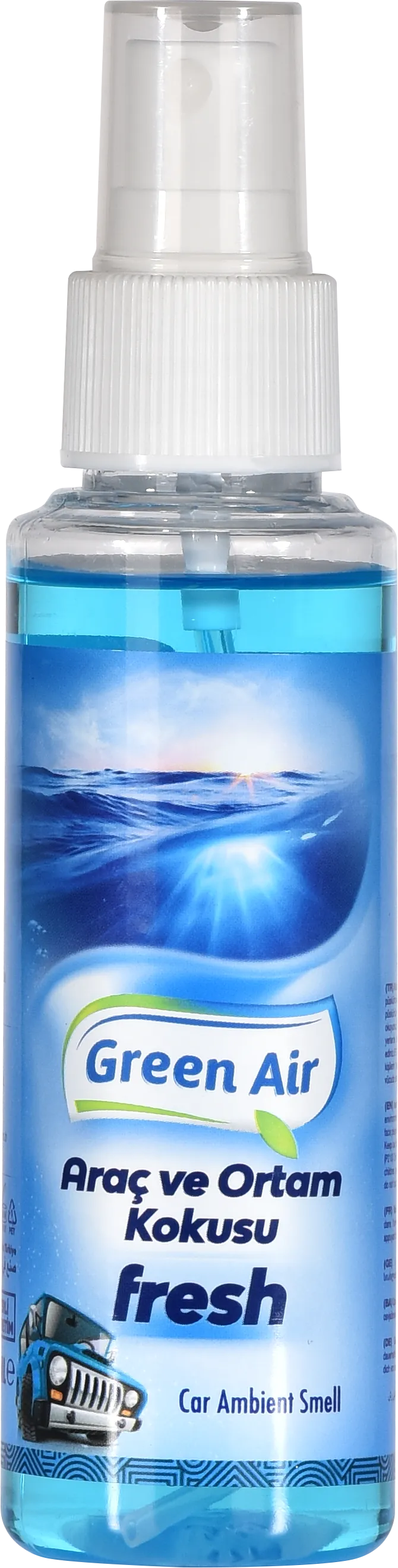 Spray Ambientador de Auto Fresh 100ml